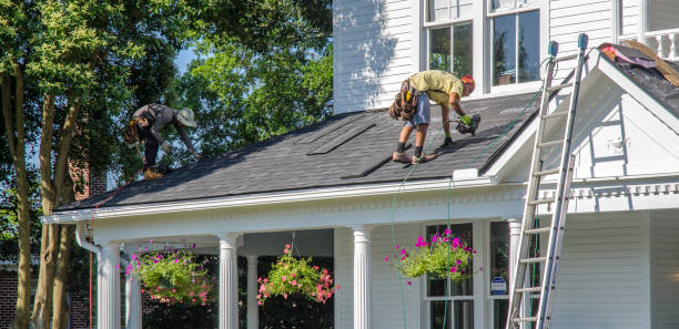Best Metal Roofing Contractor  in Anderson Island, WA